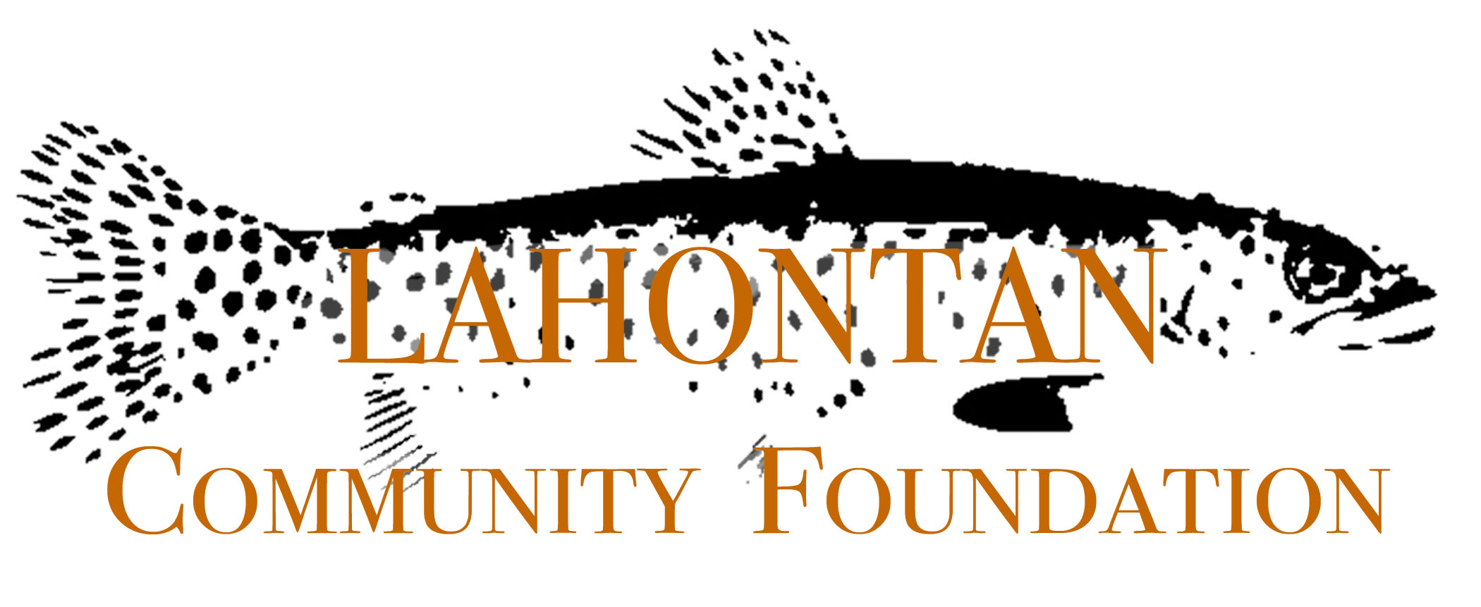 Lahontan Community Foundation Fund Awards More Than a Quarter Million in Grants